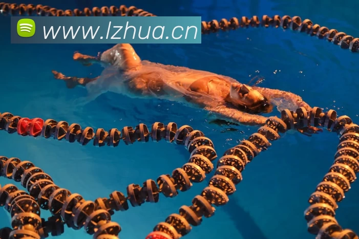 乐动网页版登录入口 - 乐动(中国)平台生态图